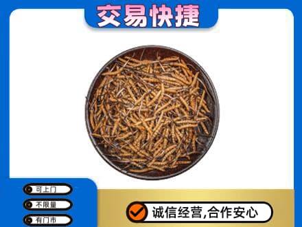重庆市合川回收散虫草